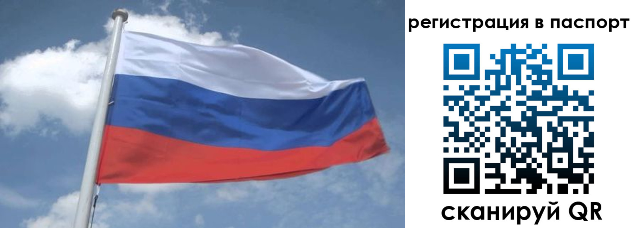 временная регистрация надежно в Балтийске